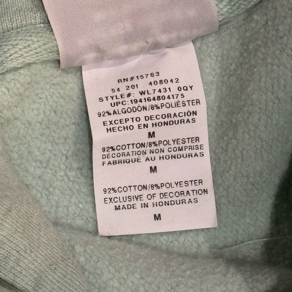 Vintage Champion Washed Mint Hoodie Sweatshirt - Picture 4 of 7